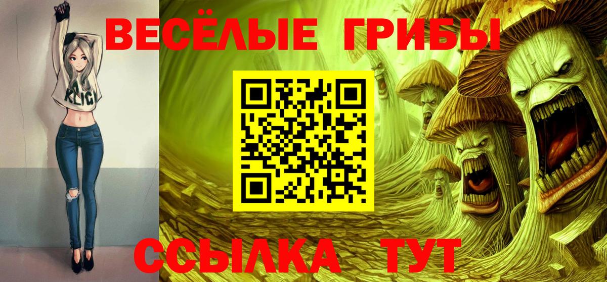 Галлюциногенные грибы мицелий  Псилоцибиновые грибы Psilocybe  Вход с VPN  Кимовск 