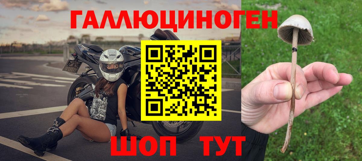 Псилоцибиновые грибы GOLDEN TEACHER Кимовск